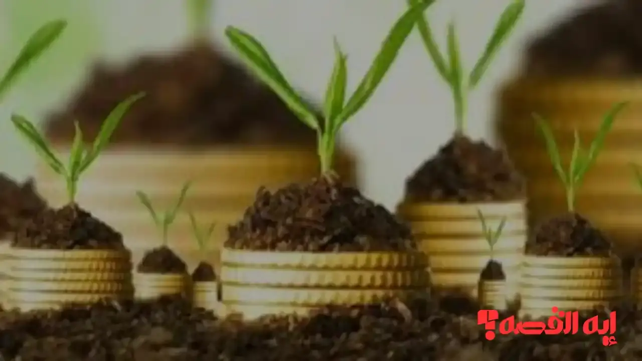 قانون مالية 2026.. المصادقة على تسوية وجدولة ديون القطاع الفلاحي بتونس